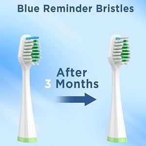 smile bright brush heads