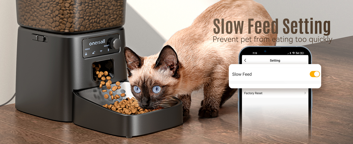 Slow Feed
