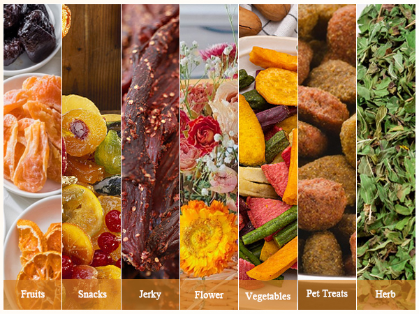 Food Dehydrator
