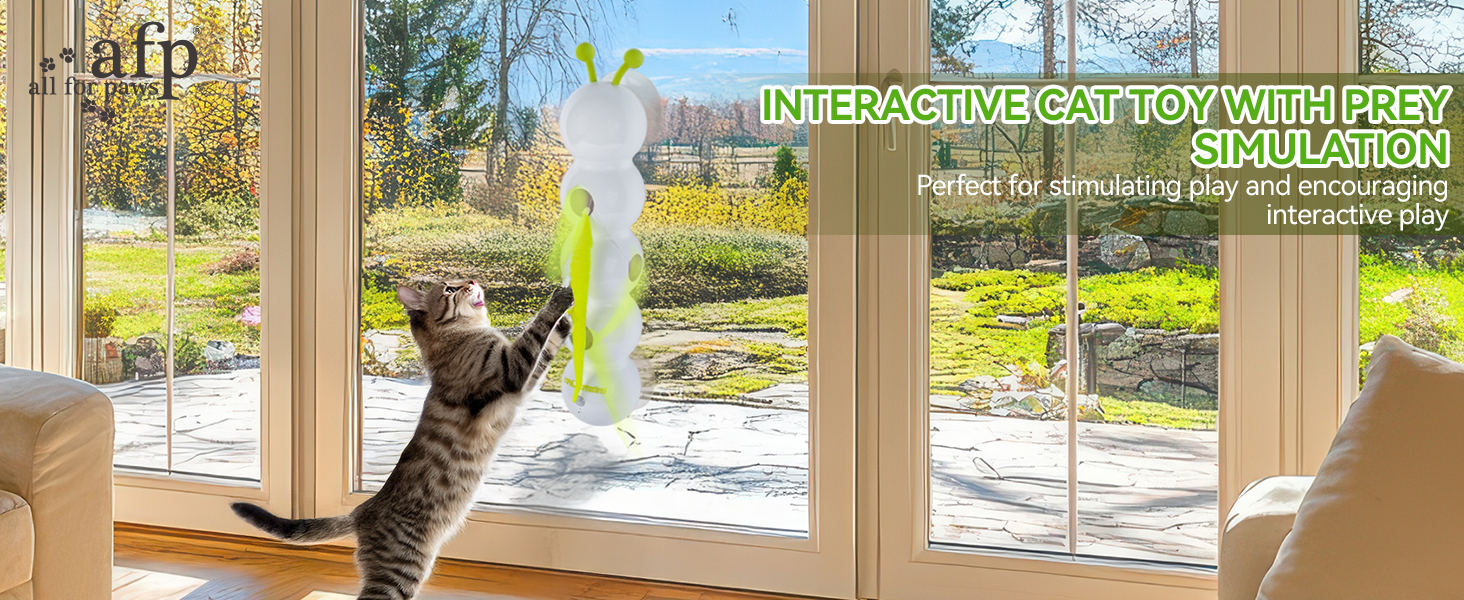 cat toy 3241