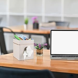 decorative tissue box cover in office