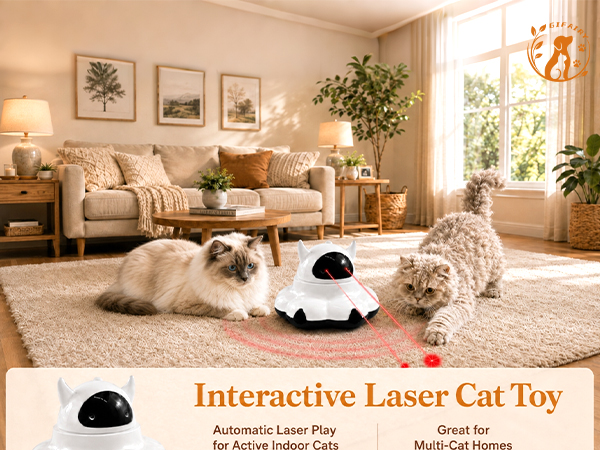 cat toys