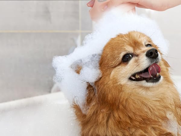 scalp massager shampoo brush