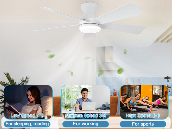 flush mount ceiling fan