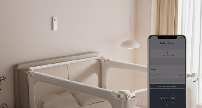 motion sensor