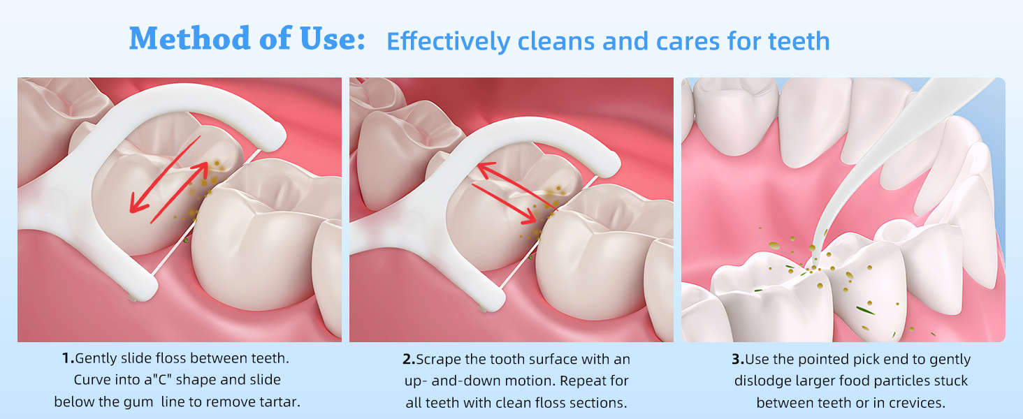 Dental Floss Picks