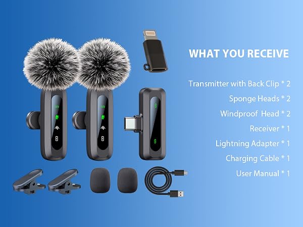 mini microphone