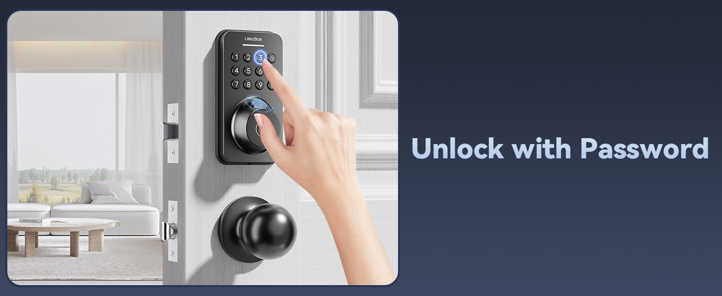 keyless entry door lock
