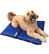 CoolerDog Dog Cooling Pad Dog Cooling Products Hydro Cooling Mat (23"x18") (2 Pack)