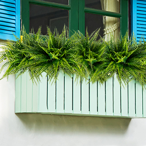 front porch plants