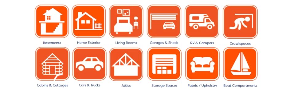 all surface mold control