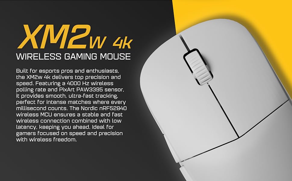Endgame Gear XM2w 4k Gaming Mouse, White Frost