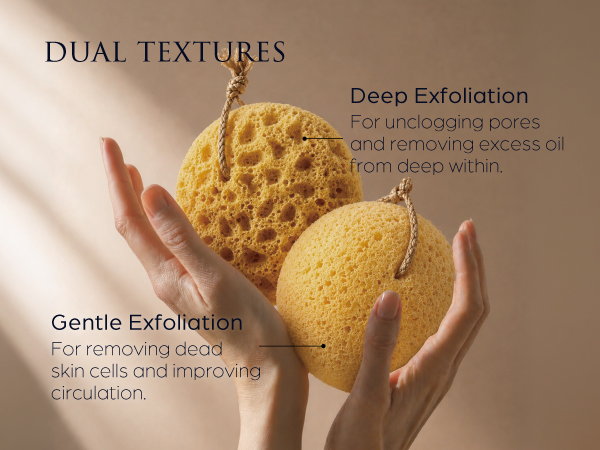 sponge loofah