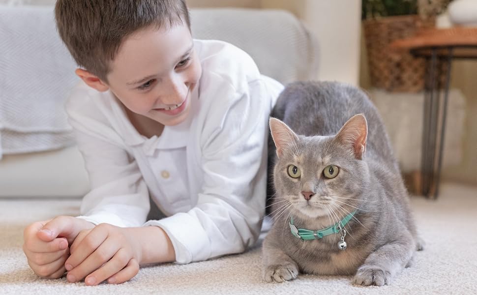 A boy with a cat