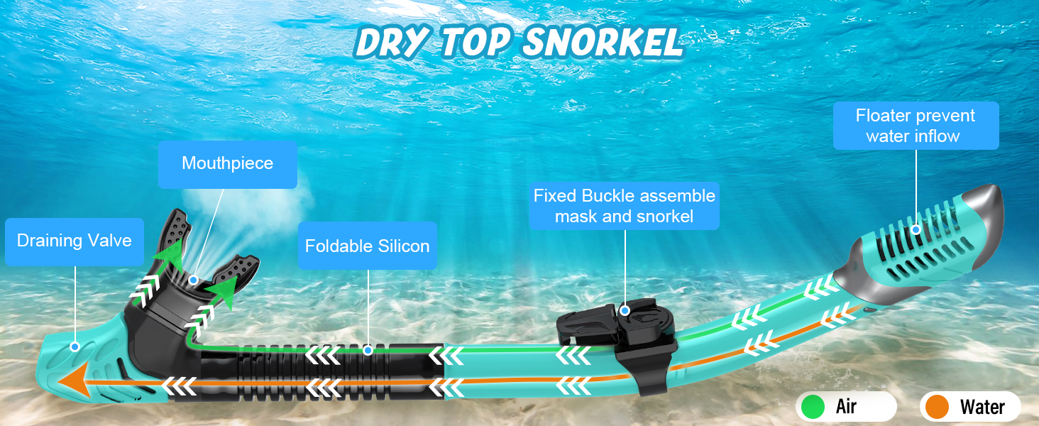 snorkeling gear for adults