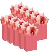 qiqee 10PCS Salmon Mini Gift Bags with Tissue Paper Handles 6.3"x4.7"x2.4" Small Size Present Par...