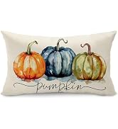 DFXSZ Fall Pillow Covers 12x20 Inch Autumn Thanksgiving Multicolor Oil Painted Pumpkins Lumbar Po...