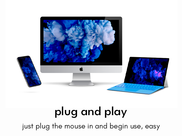 mouse