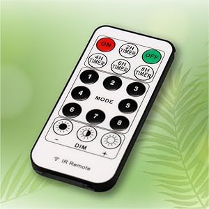 remote