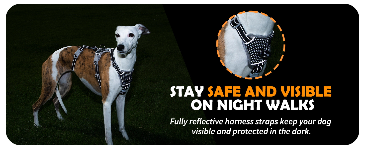 escape proof dog harness