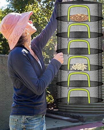 Drying herbs