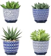 Selamica Ceramic Succulent Pots with Drainage Holes, Small Flower Pots 3.5 Inch Plant Pots for In...