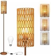 Ruiever Floor Lamp for Living Room,Farmhouse Floor lamp,Modern Standing lamp with Hand-Worked Rat...