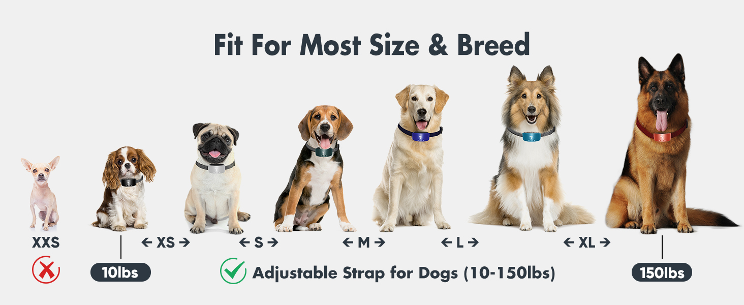 bark collar puppy training
