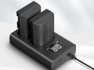 dual charger