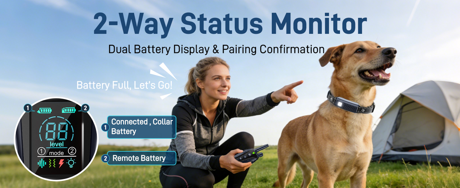 2-way status monitor