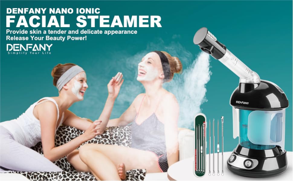 face steamer