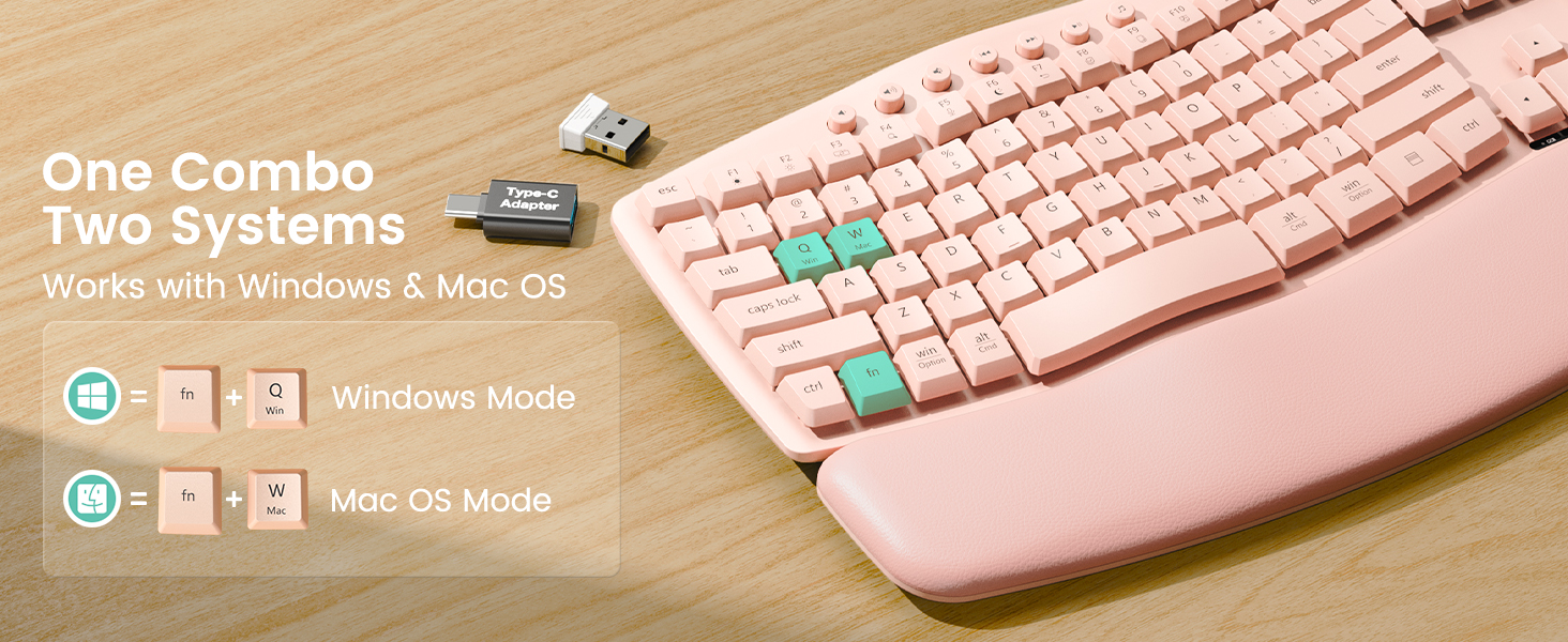 Compatible with MAC and Windows systems