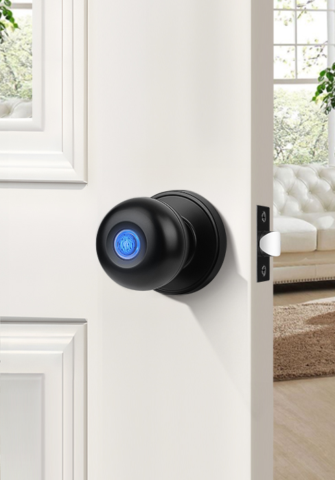 smart ddoor knob