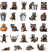 MALLMALL6 Raccoon Fridge Magnets - 24Pcs Funny Animals Refrigerator Stickers Magnetic Decorative,...