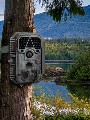 p60 trail camera
