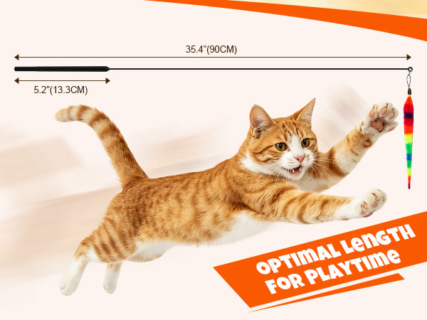 cat toys interactive