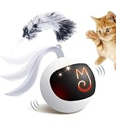 Migipaws Interactive Cat Ball Toy Set, Fun Tracker, Automatic Rolling Chase Ball with Fluffy Tail...