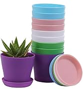 10 Pcs Plastic Planters Indoor Flower Plant Pots, Mini Flower Seedlings Nursery Pot/Planter/Flowe...