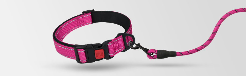 rope dog leash