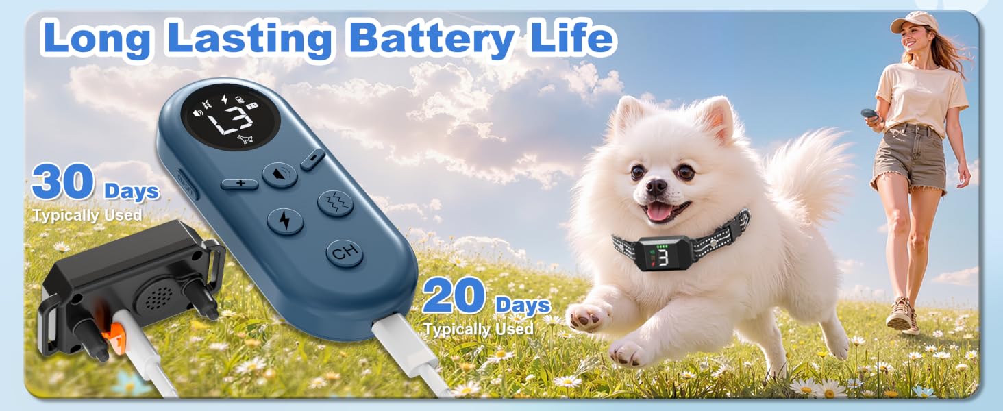 Small Shock Collar for Dogs