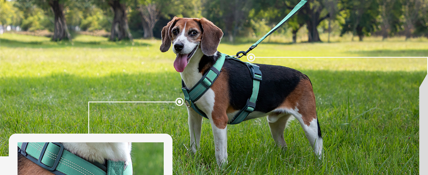 dog harness medium sized dog