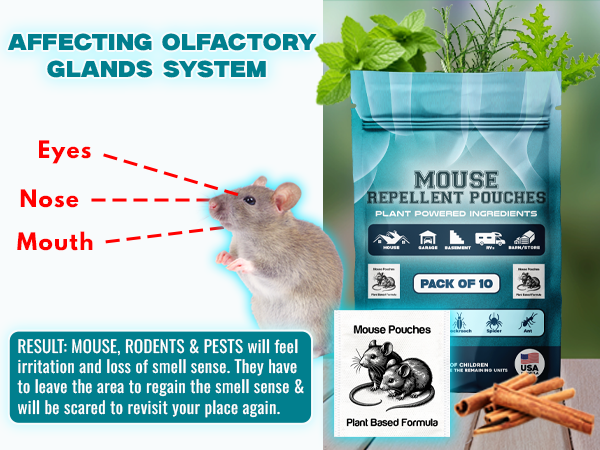 Mouse Repellent Pouches