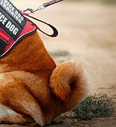 emotional support dog vest red