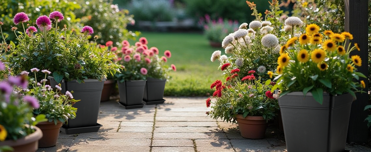 planter pots
