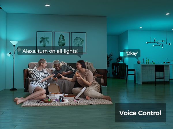 smart light bulbs G16.5