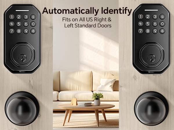 keyless entry door lock