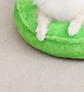 washable dog bed