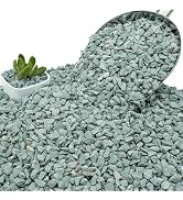 NUPICK 3lb Green Zeolite for Plants, 3/8" Natural Succulent Potting Soil Amendments, Decorative G...