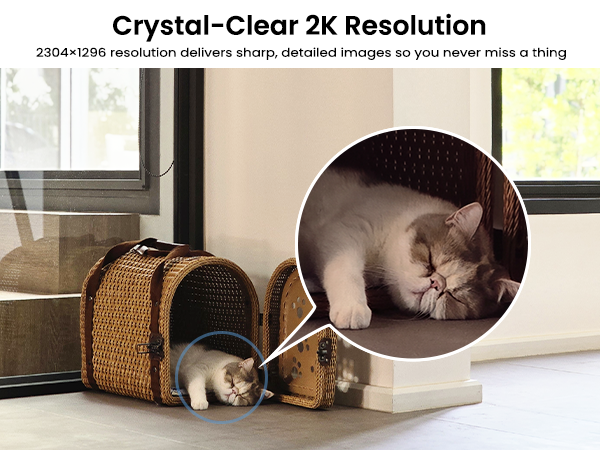 2K Resolution