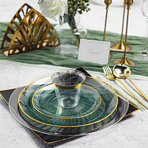 disposable dinnerware set